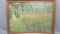 Will Larrymore Smedley; Chautauqua New York Artist 23