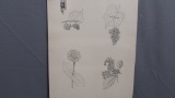 Will Larrymore Smedley; Chautauqua New York Artist 9.5