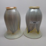 Pair fo Art Glass Shades with 2