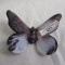 westmoreland purple slag butterfly