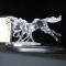 Swarovski Wild Horses figurine in original locked box w/all contents.  Look