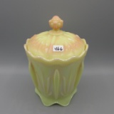 Fenton burmese iridized Cactus cracker jar