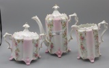 UM RS Prussia ft'd 3 pc floral teaset w panels of flowers.