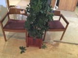Chairs and plant