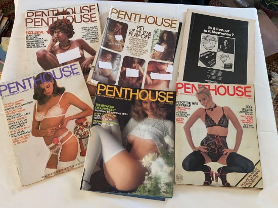 Vintage Penthouse