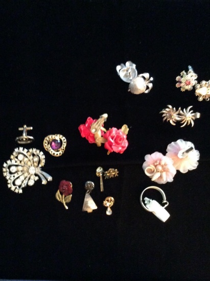 Earrings Pins and More