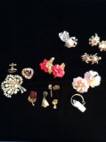 Earrings Pins and More