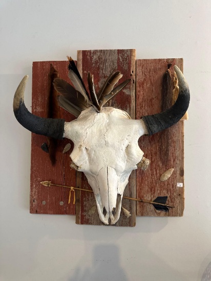 Buffalo skull mount