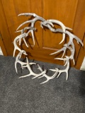 Deer Stag Wreath