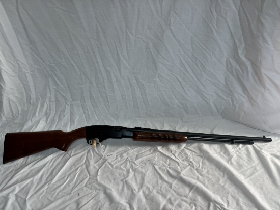 REMINGTON .22 LR