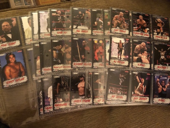 Wrestling Card set