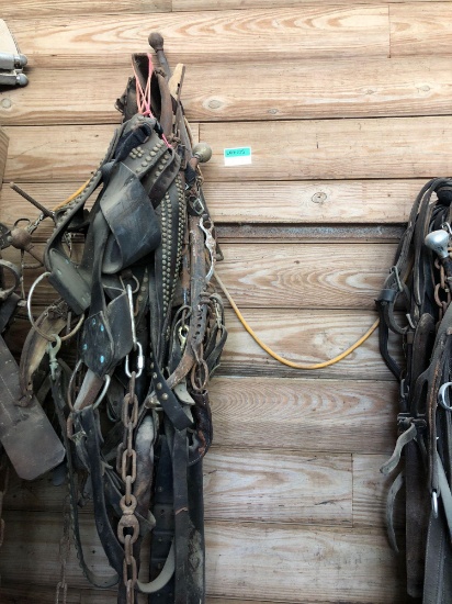 Horse Harnesses