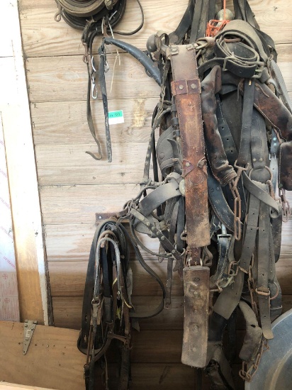 Horse harnesses