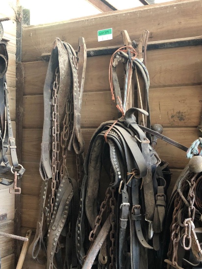 Horse harnesses