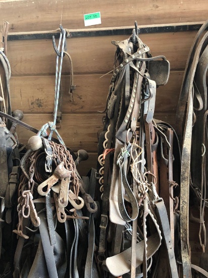 Horse harnesses