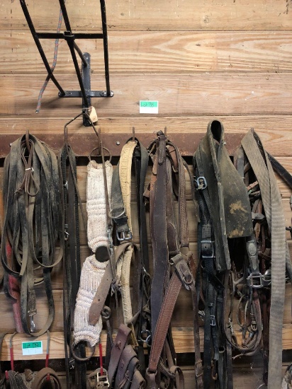 Horse harnesses