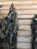 Horse Harnesses