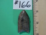 Petrified Wood Clovis Point