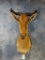 African Cokes Hartebeest shoulder mount