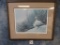 Framed Snow Geese Signed Print