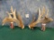 Massive Shed Whitetail Deer Antlers