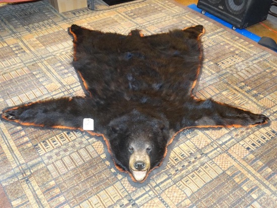 Cool Black Bear Rug