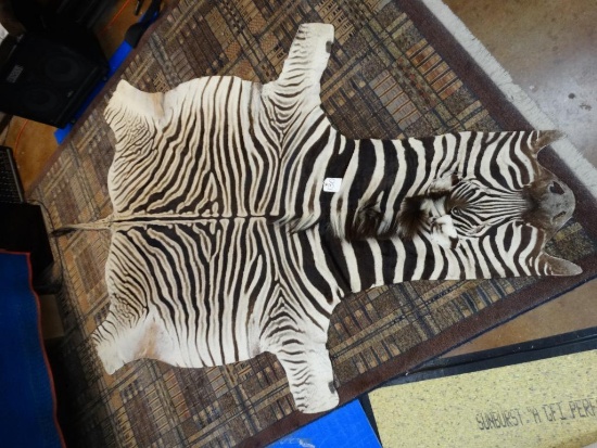 Chapmans Zebra Rug