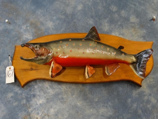 Brand new Arctic Char fish mount