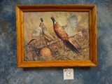 Framed Ring-neck Pheasants Print