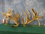 54pt. Gigantic 396 3/8 gross Matching Whitetail Deer Sheds