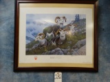 (Mountain Guardians) Stone Sheep Framed Print from Ruger