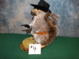 Cowboy Squirrel