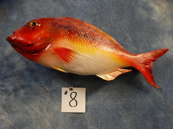 New 14 ... inches Whole Fiberglass Reproduction Vermilion Snapper Fish Mount
