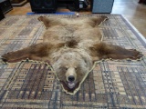 Interior Grizzly Bear Rug
