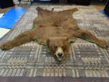 Large Cinnamon Black Bear Rug