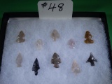 Qty of (10) Outstanding New Mexico Bird Points with Display Case