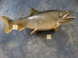 34 ... inch Large Lake Trout Fiberglass Reproduction