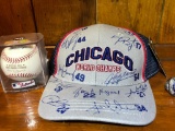 Chicago Cubs Championship Sports Memorabilia