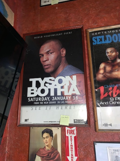 Tyson vs Botha Promo Poster