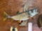Brand new 34 inch Real Skin Lake Trout fish mount on driftwood