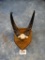 East African Bohor Reedbuck Horns on Plaque