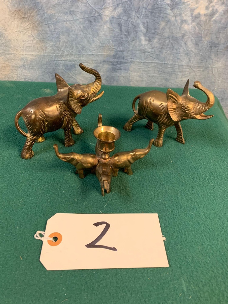 Early Summer High End Taxidermy Sale