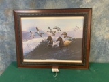Beautiful Canvasback Duck Framed Print