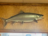 33 inch Real Skin Quality Lake Trout fish mount