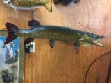 Brand new 35 1/4 inch Northern Pike fish mount