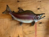 22 inch Real Skin Humpback Pink Salmon fish mount