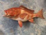 Brand new 32 1/4 inch Red Snapper Whole Fish Mount