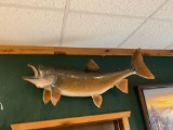 Huge 40 inch Lake Trout Real Skin fish mount