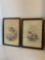 Pair of signed drawing prints in frame