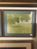 Set of 4 vintage photos from 1950s in frames